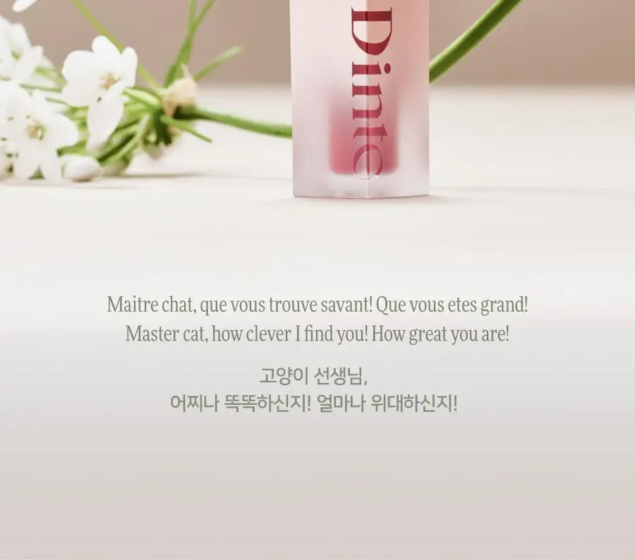 [미니] 딘토 블러젤리 플럼핑 미니 립틴트 7종 상세페이지 25